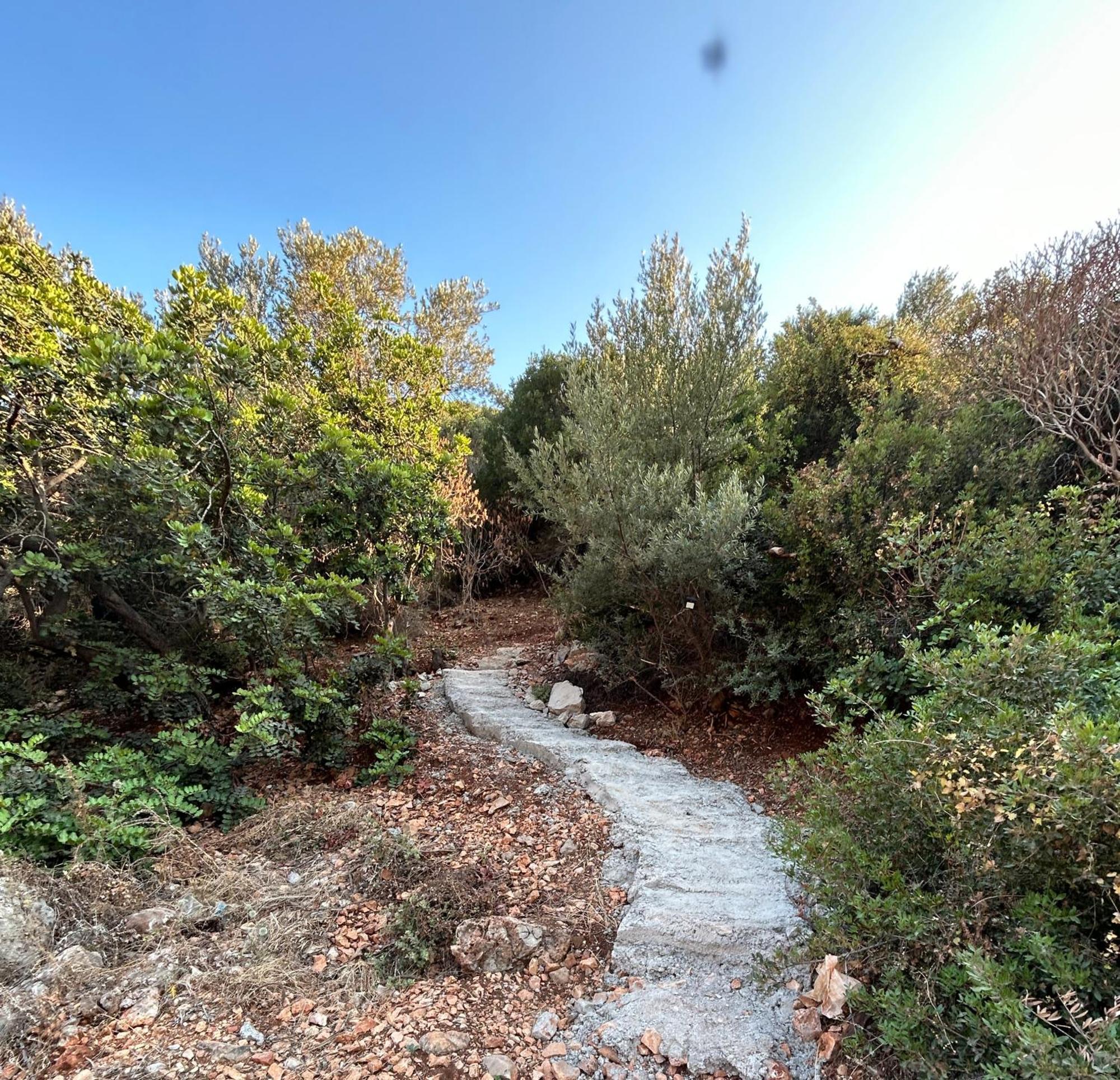 Apartamento Green Hill Kaş Exterior foto